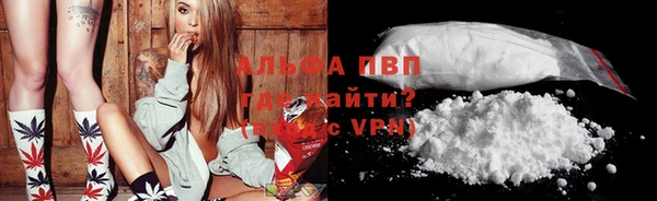 мяу мяу кристалл Богданович