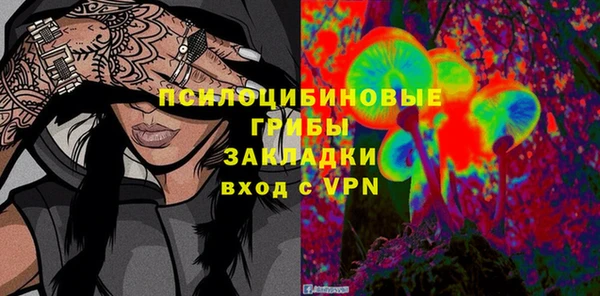 СК Богородск