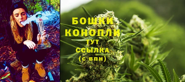 СК Богородск