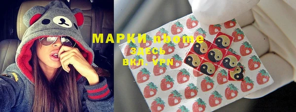 СК Богородск