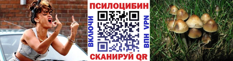 продажа наркотиков  Нижний Тагил  Галлюциногенные грибы Cubensis 